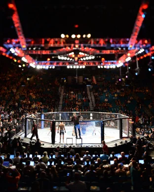 UFC 334: Gane vs. Hokit