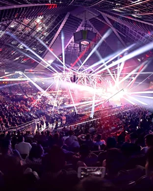 Victory Fighting League