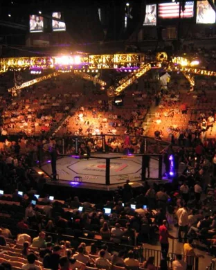 Ragin Fighting Championship